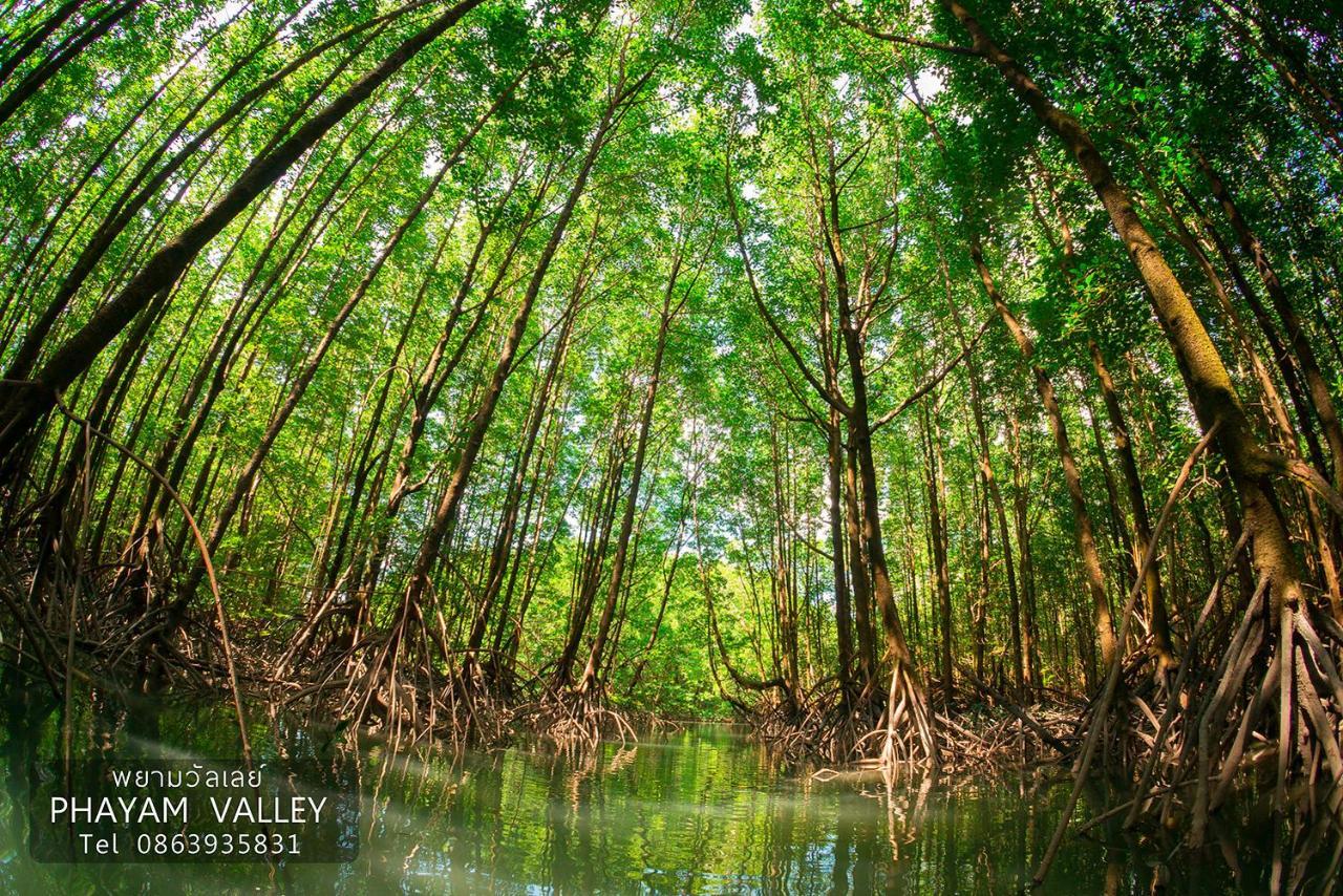 Phayam Valley Koh Phayam Exterior foto