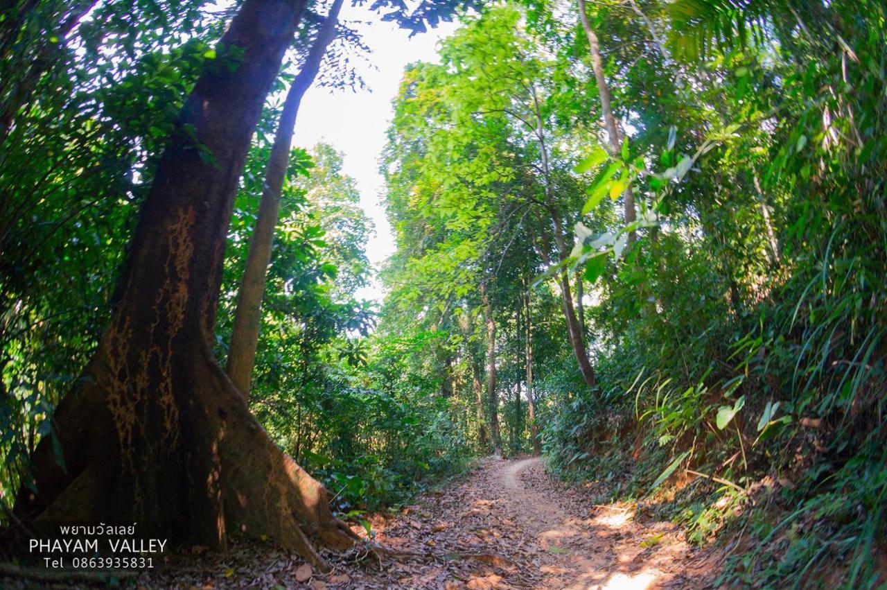 Phayam Valley Koh Phayam Exterior foto